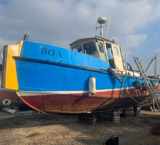 boa